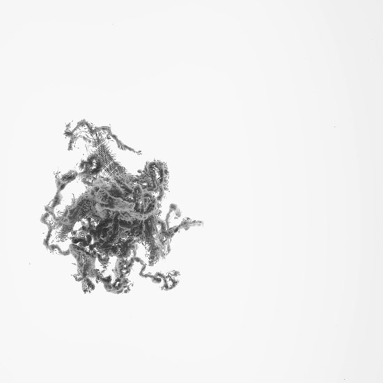 N. Dash, Untitled (10 IV), 2010