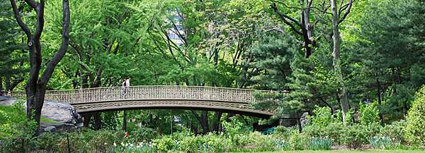 A footbridge in Central Park.