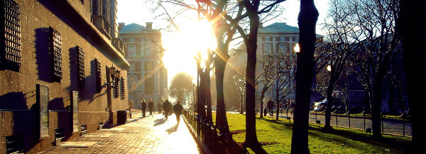 The sun shines on College Walk