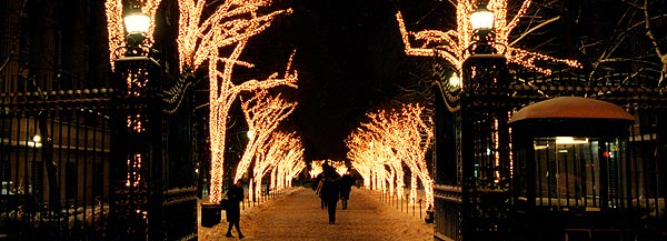 Holiday lights illuminate College Walk.