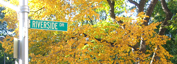 Fall colors on Riverside Drive.