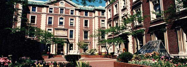 Flowers bloom in the courtyard by Schermerhorn Hall.