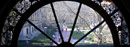 A view of campus through an arched window in Avery Hall.