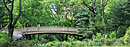 A footbridge in Central Park.