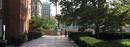 Dappled sunlight falls on the walkway near Buell Hall.