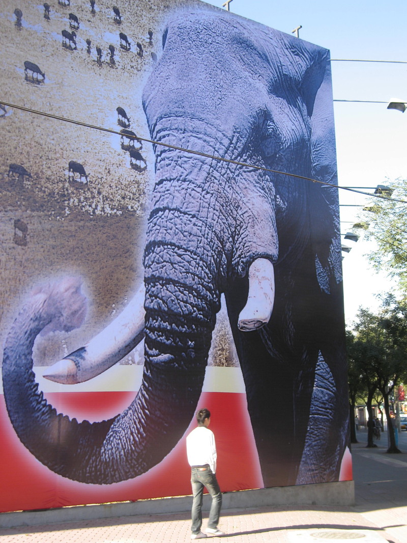 African Summit poster struggles against poor Photoshop job